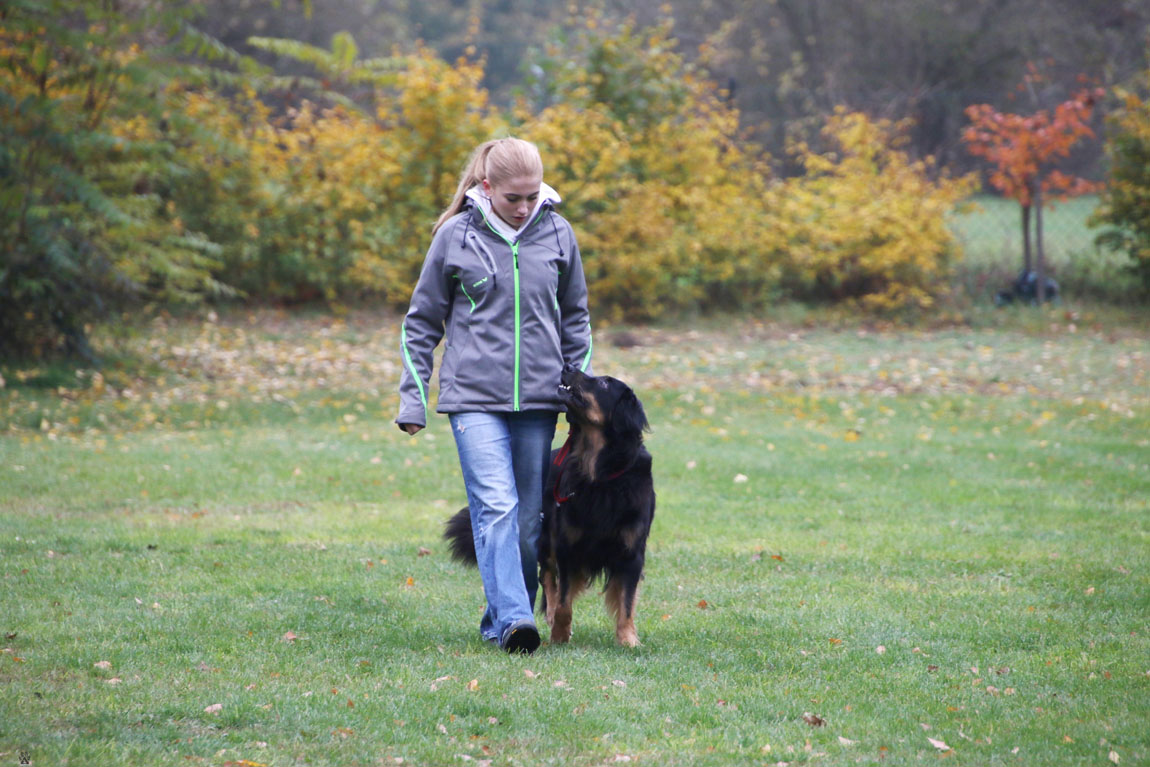Cosima mit Inshallah von Tüfelsland