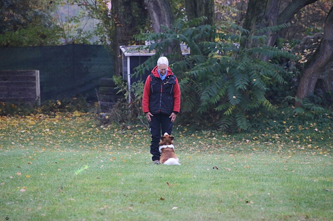 Sylvia Glassen mit Dali vom Alfseekooi 