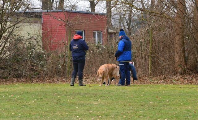 Die jungen Wilden bei der NZB