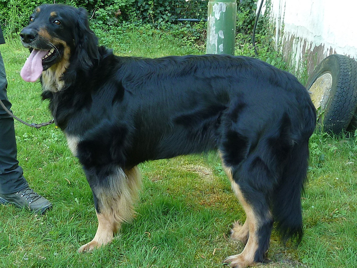 Chiara vom Schillerturm