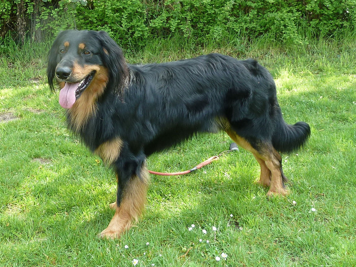 Franz-Ferdinand von Lahn und Dill