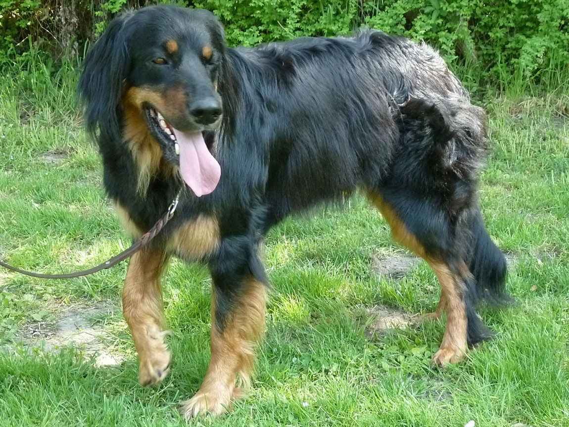 Enna von Lahn und Dill