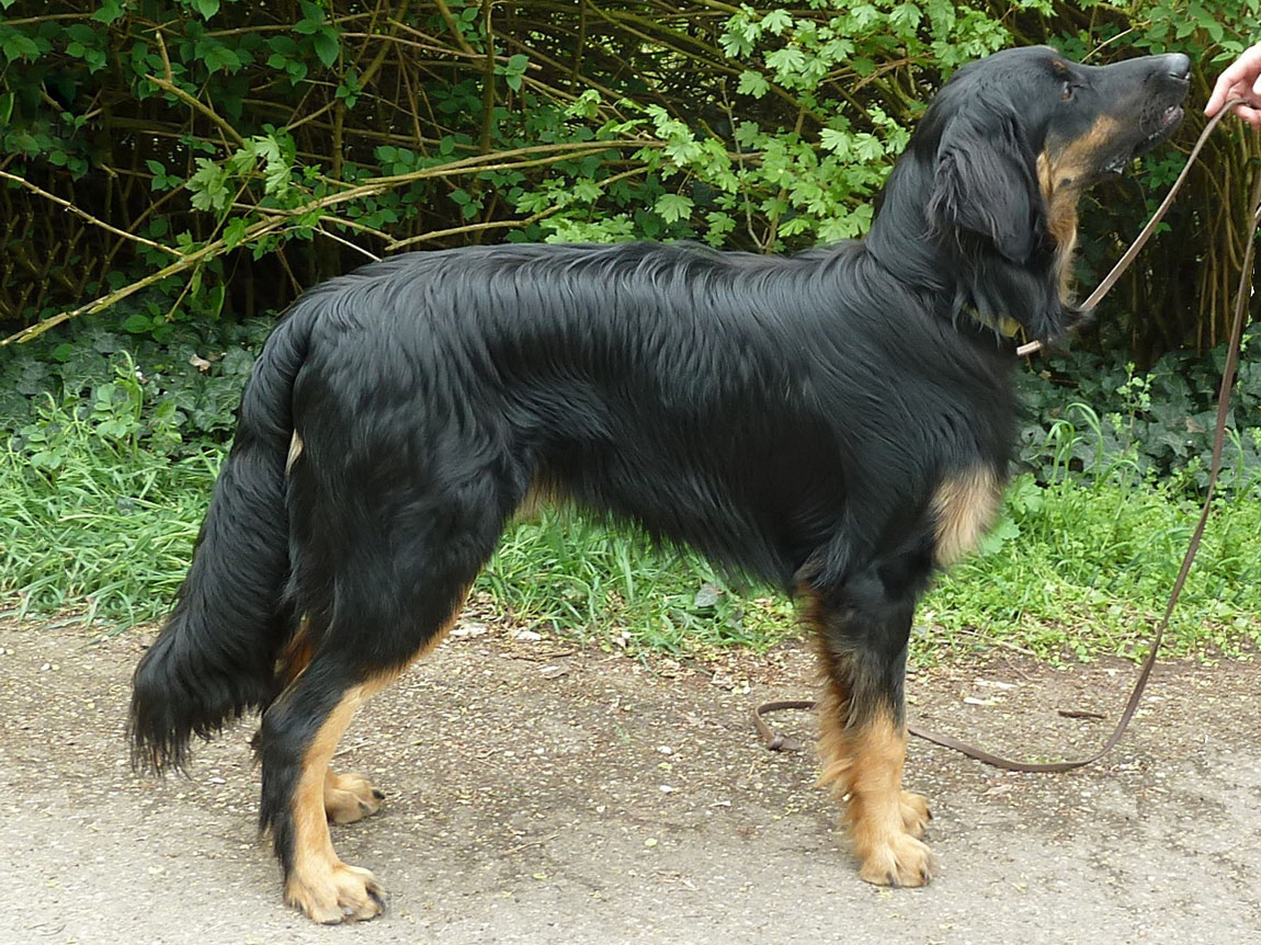 Lejano vom Casino Bond Royal